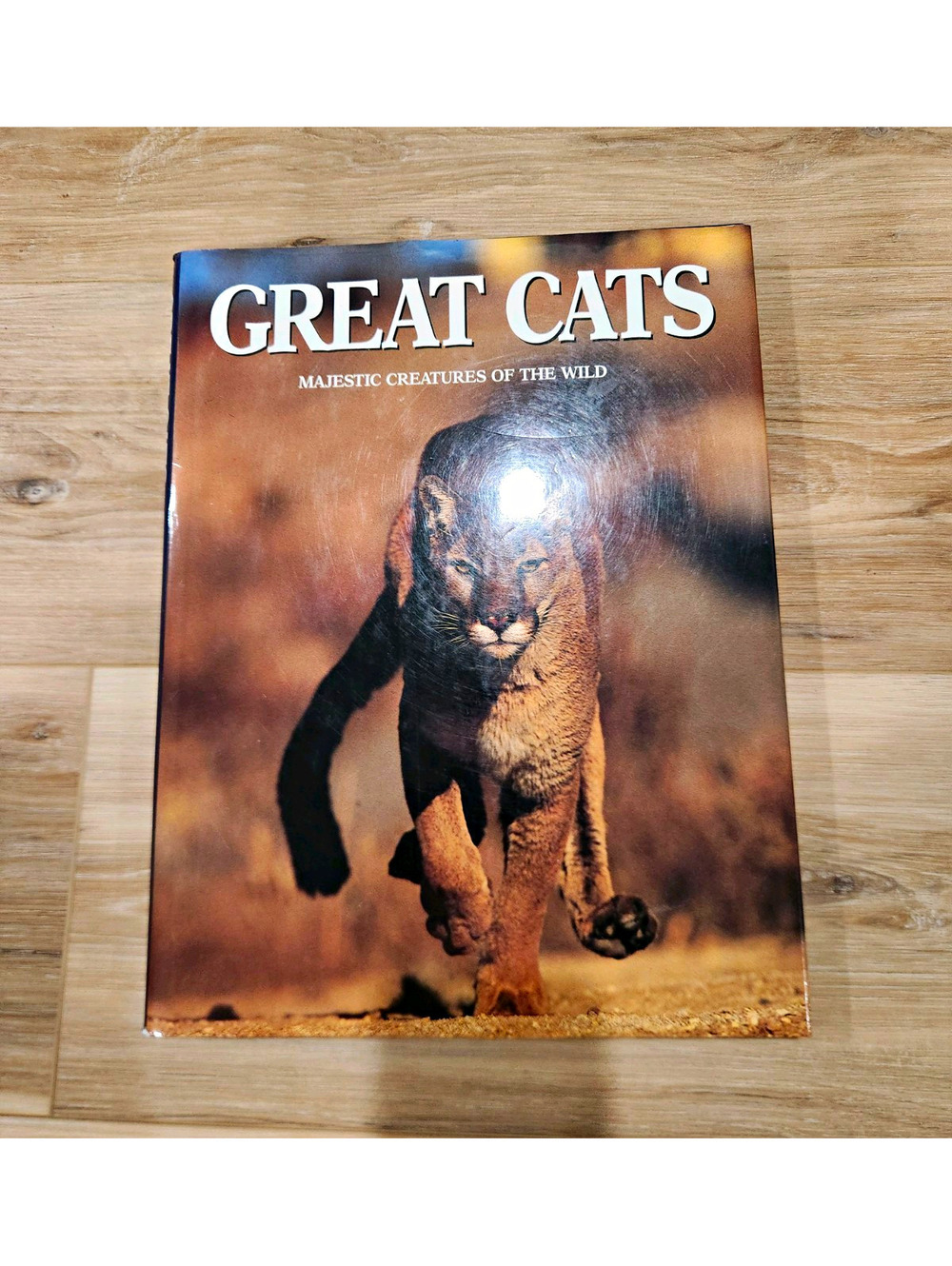 John Owen Great Cats (Majestic Creatures of the Wild) HC 1991 Illus DJ